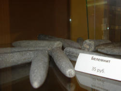 Белемниты