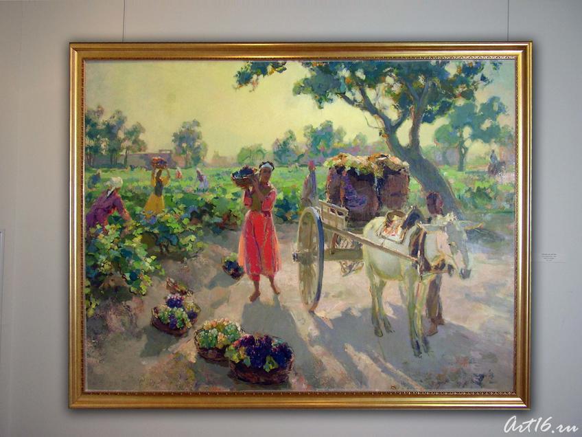 Сбор винограда. 1958. Урманче Б.И.