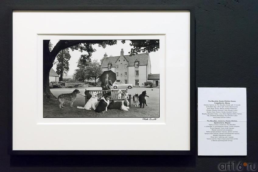 Фото №224545. Фото Эллиотта Эрвитта. Чарльз Спенс в поместье The Macallan с собаками 12 шотландских пород