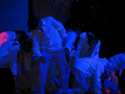 IMG_1242.jpg