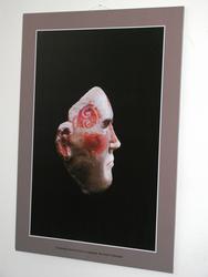 IMG_2920.jpg
