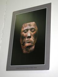 IMG_2924.jpg
