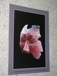 IMG_2928.jpg