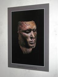 IMG_2932.jpg
