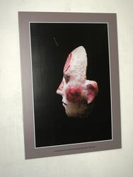IMG_2937.jpg