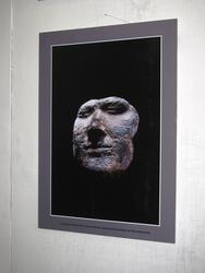 IMG_2938.jpg