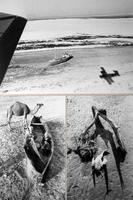 1989 г. На дне Аральского моря