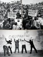 1989 г. Литовские страсти