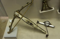 DSC00818.jpg