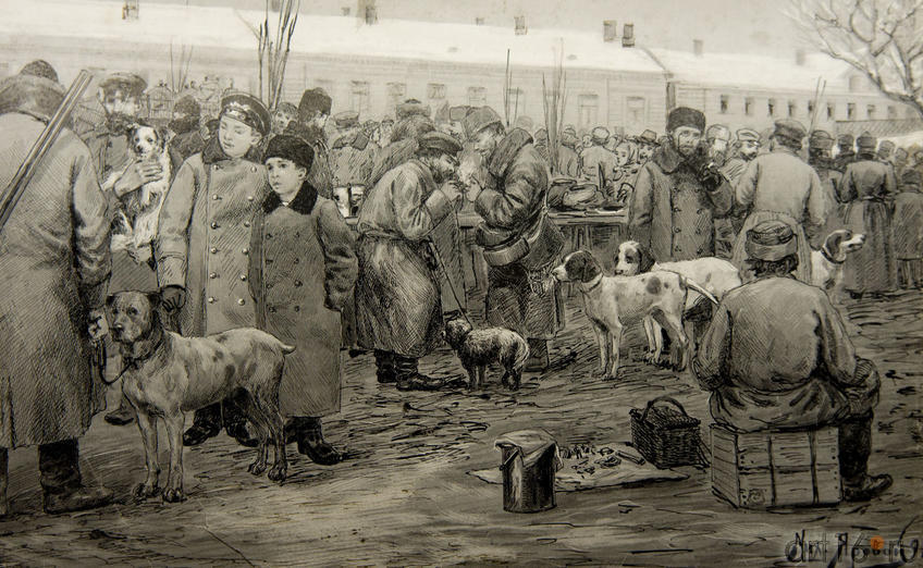 Яровой М. Трубный рынок. Торговля собаками