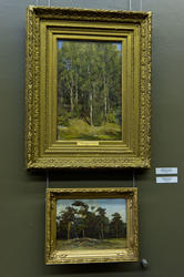 Березовая роща (Лес) 1884 /Сосны. Этюд. 1890. Шишкин И.И. (1832-1898)