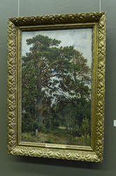 Пейзаж с сосной. 1890. Шишкин И.И. (1832-1898)