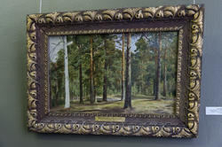 Сосновый лес. Неоконченный этюд. 1877. Шишкин И.И. (1832-1898)