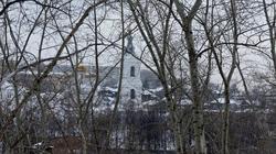 DSC06167.jpg