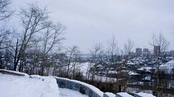 DSC06174.jpg