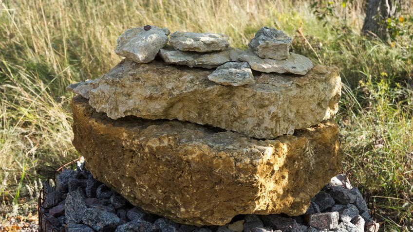 Фото №935362. Известняк -  Фрагмент геолого-палеонтологической экспозиции