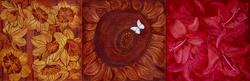 Красная. 2004. Титова Е.А. 1974, Казань