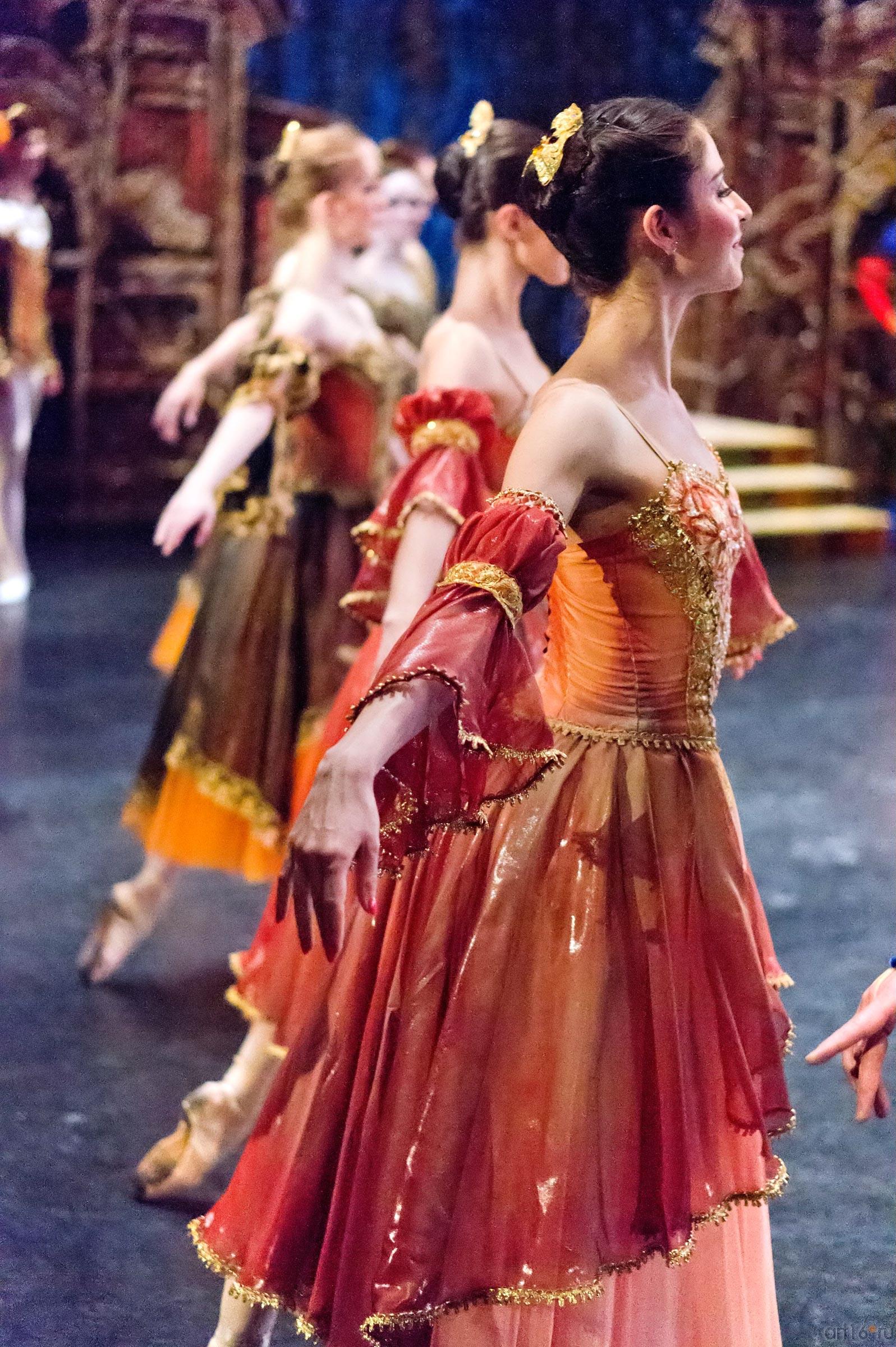 ::Лебединое озеро