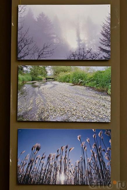 ::Праздник серебряной воды