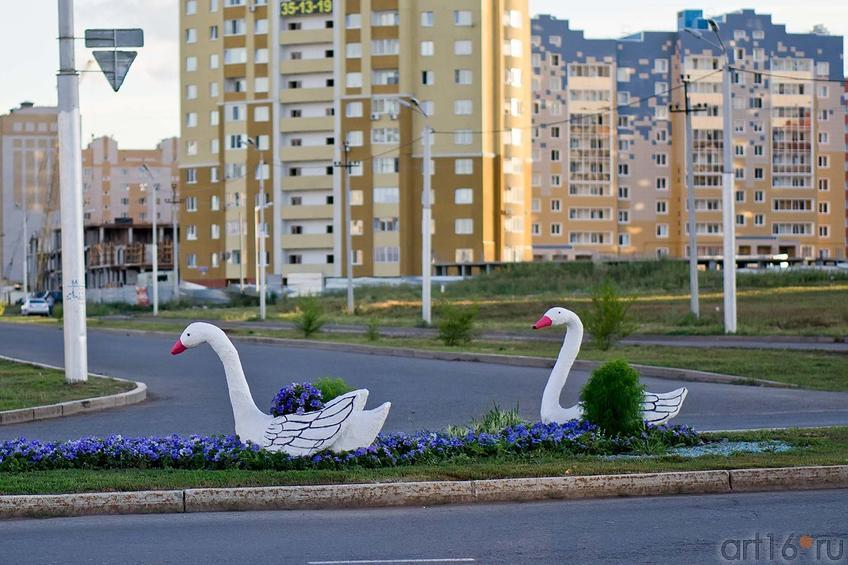 Три веселых гуся на разделительной полосе одной из улиц Альметьевска::Прогулка по Альметьевску