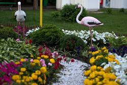 Розовые фламинго на клумбе городского парка. Альметьевск, июль 2012