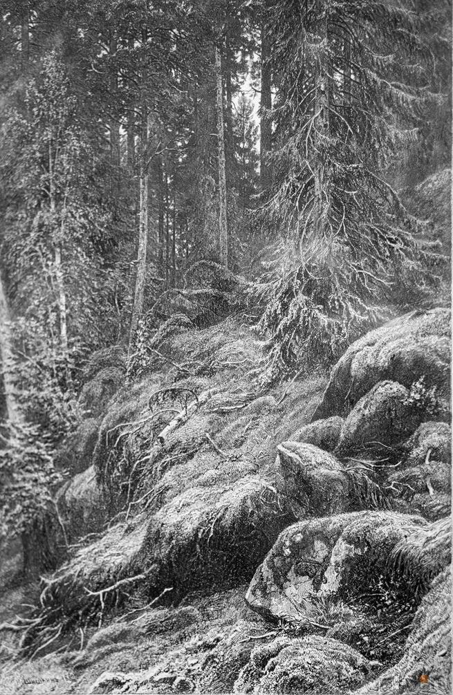 Тайга. 1880 (1882).  Шишкин И.И.(1832-1898)::Шишкин Иван Иванович (1832-1898)