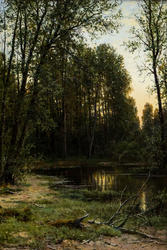 Речная заводь в лесу. 1889-1890. Шишкин И.И.( 1832-1898)