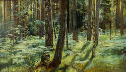 Папоротники в лесу. Этюд. 1883.Шишкин И.И. (1832-1898)