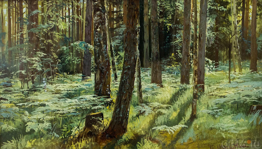 Фото №114770. Папоротники в лесу. Этюд. 1883.Шишкин И.И. (1832-1898)