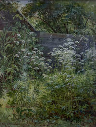 Уголок заросшего сада. Сныть-трава. 1884. Шишкин И.И. (1832-1898)