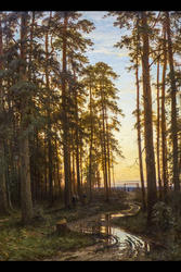 Вечер в сосоновом лесу. 1875.  Шишкин И.И.(1832-1898)