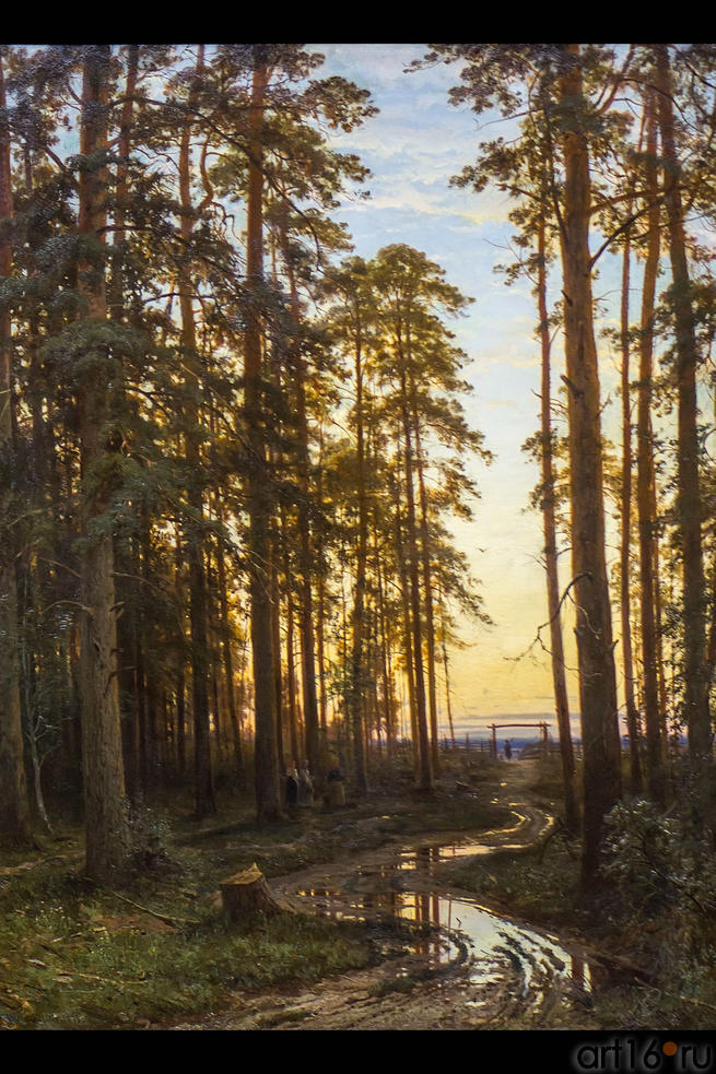 Вечер в сосоновом лесу. 1875.  Шишкин И.И.(1832-1898)::Шишкин Иван Иванович (1832-1898)