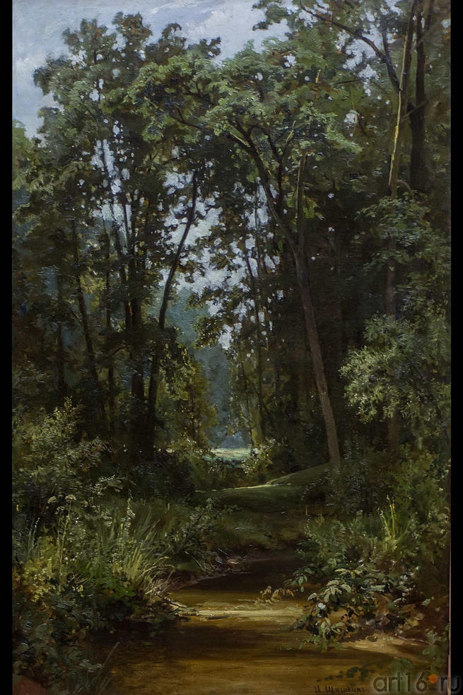 В лесу. 1880-е.  Шишкин И.И.(1832-1898)::Шишкин Иван Иванович (1832-1898)