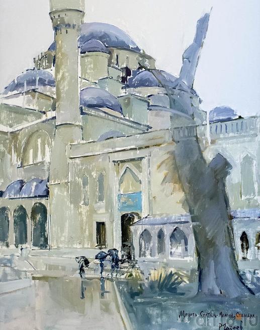 Стамбул. Голубая мечеть. 2006. Газеев Р.Х., Казань::Красные ворота