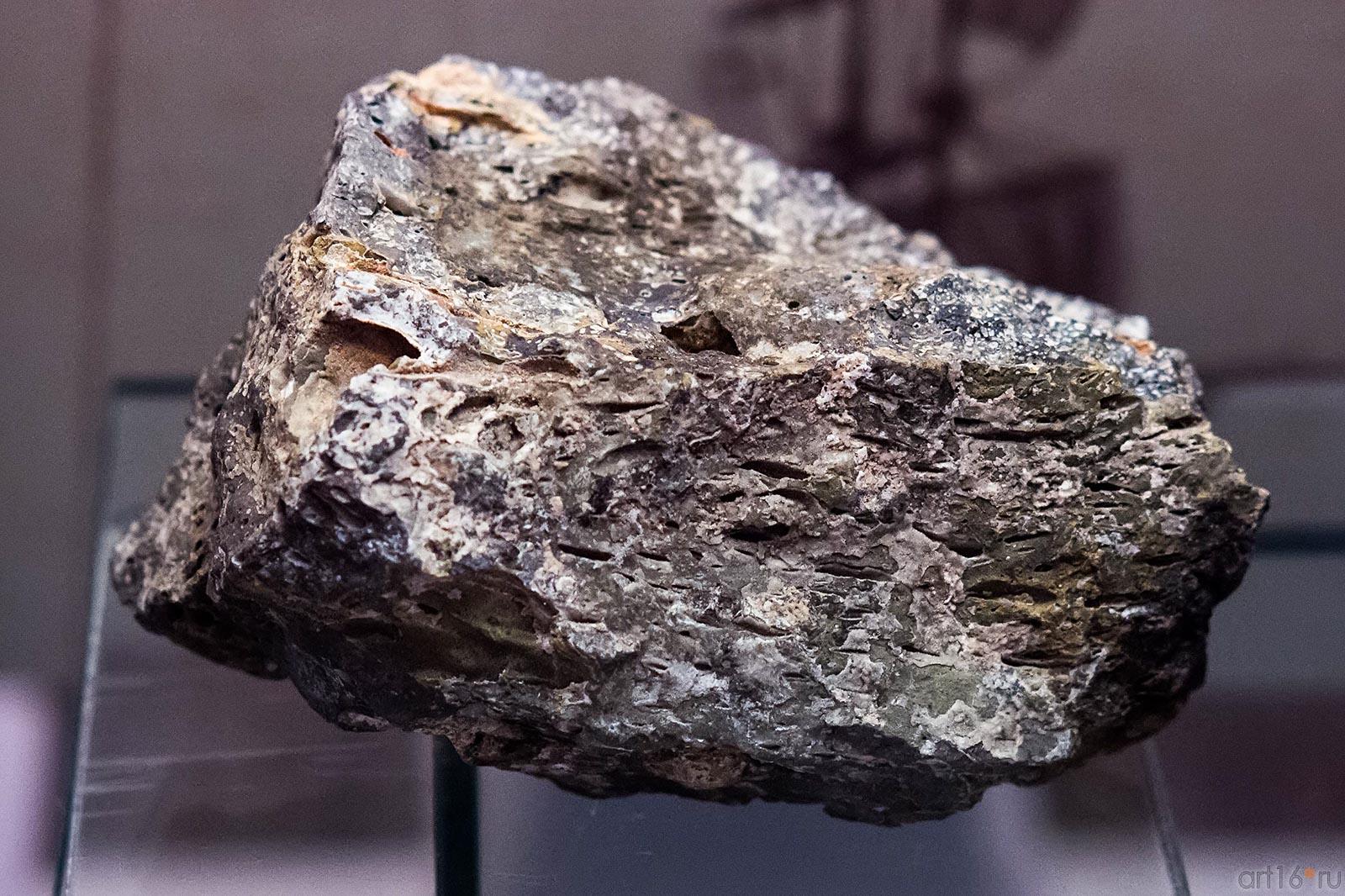 Мандельштейн (миндальный камень). Канарские о-ва, о.Тенерифе::Путешествие вокруг Света