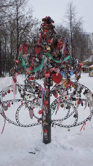 Свадебное дерево в парке им. Горького. Пермь, январь 2012::Прогулка по Перми