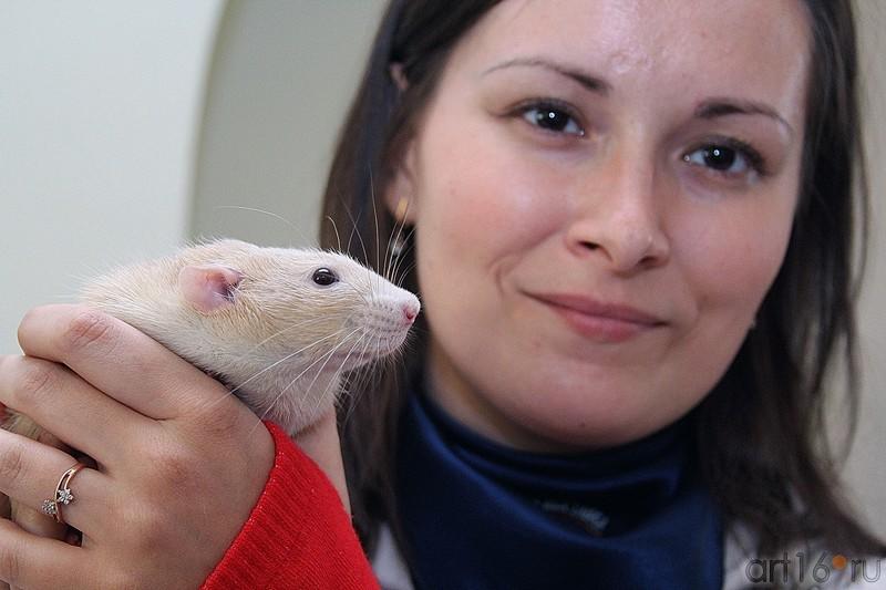 ::Ночь в музее 2013