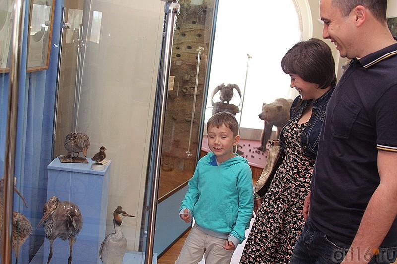 ::Ночь в музее 2013