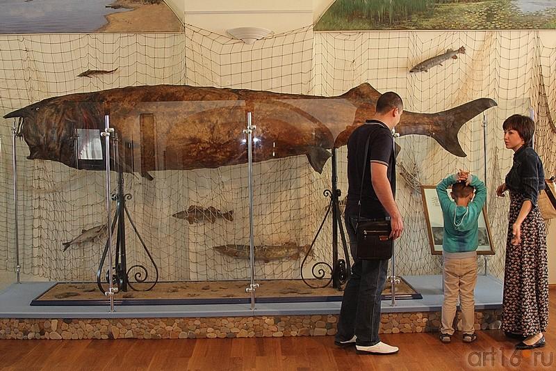 ::Ночь в музее 2013