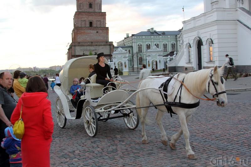 ::Ночь в музее 2013