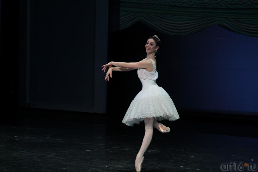 ::Гала-концерт «Рудольф Нуриев. Танец с вечностью...»