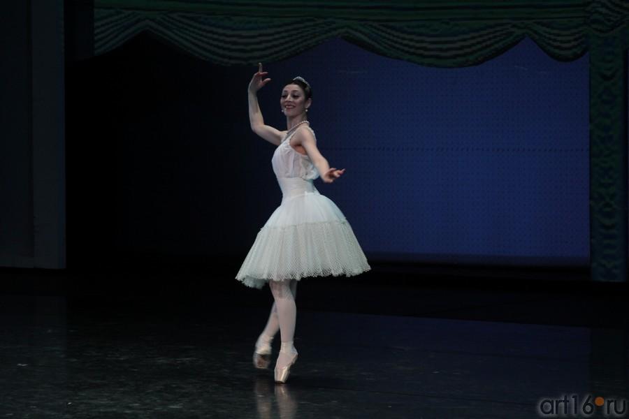 ::Гала-концерт «Рудольф Нуриев. Танец с вечностью...»