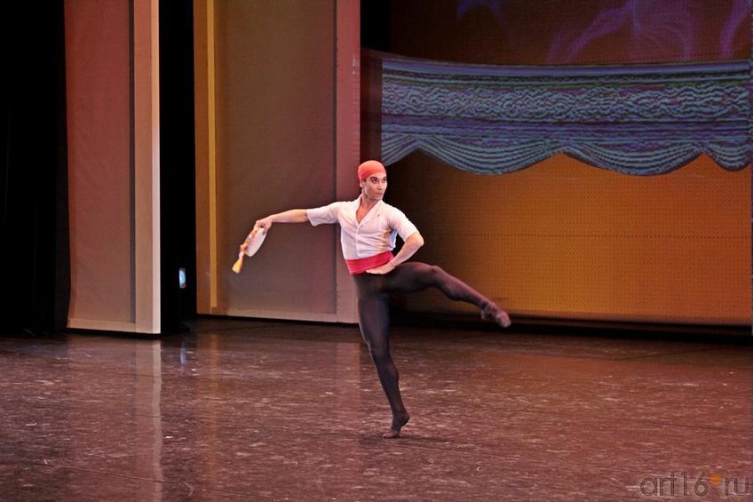 ::Гала-концерт «Рудольф Нуриев. Танец с вечностью...»