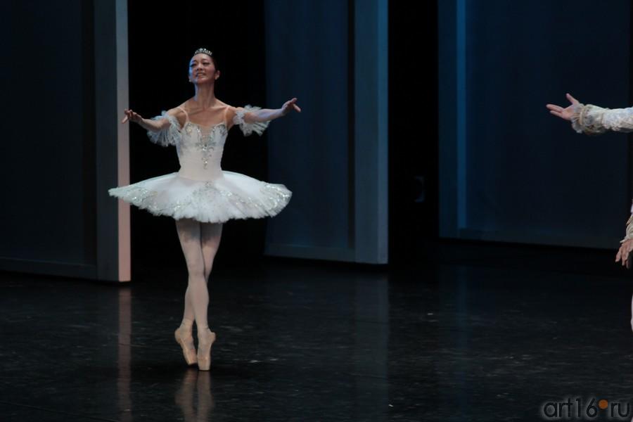 ::Гала-концерт «Рудольф Нуриев. Танец с вечностью...»