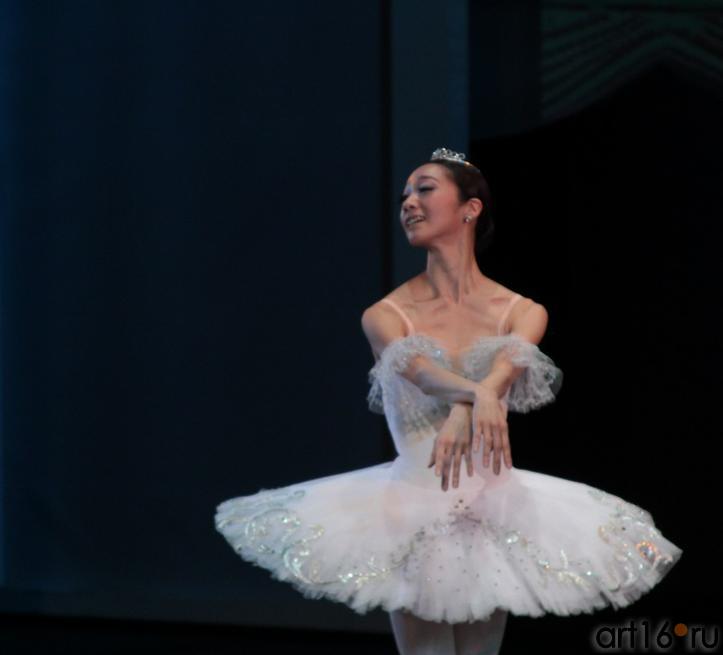 ::Гала-концерт «Рудольф Нуриев. Танец с вечностью...»