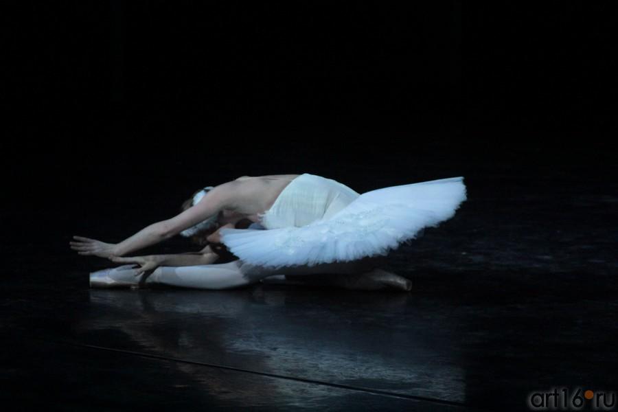 ::Гала-концерт «Рудольф Нуриев. Танец с вечностью...»