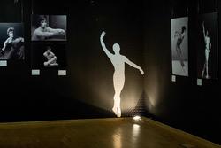 Объемная фигура и фотографии в разделе Пластика танца