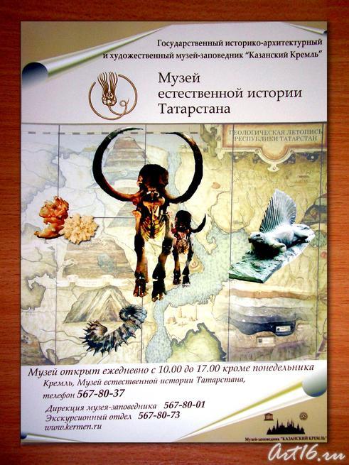 Афиша Музея естественной истории Татарстана::Экспозиция музея Природы