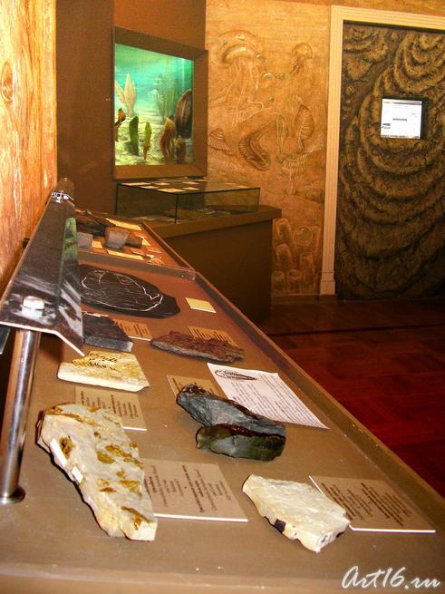 Начало пути::Экспозиция музея Природы