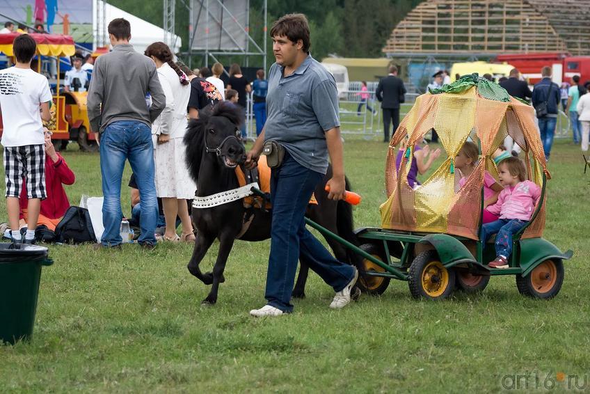  Пони: ʺЭх, прокачу!ʺ ::День авиации, Куркачи 2013